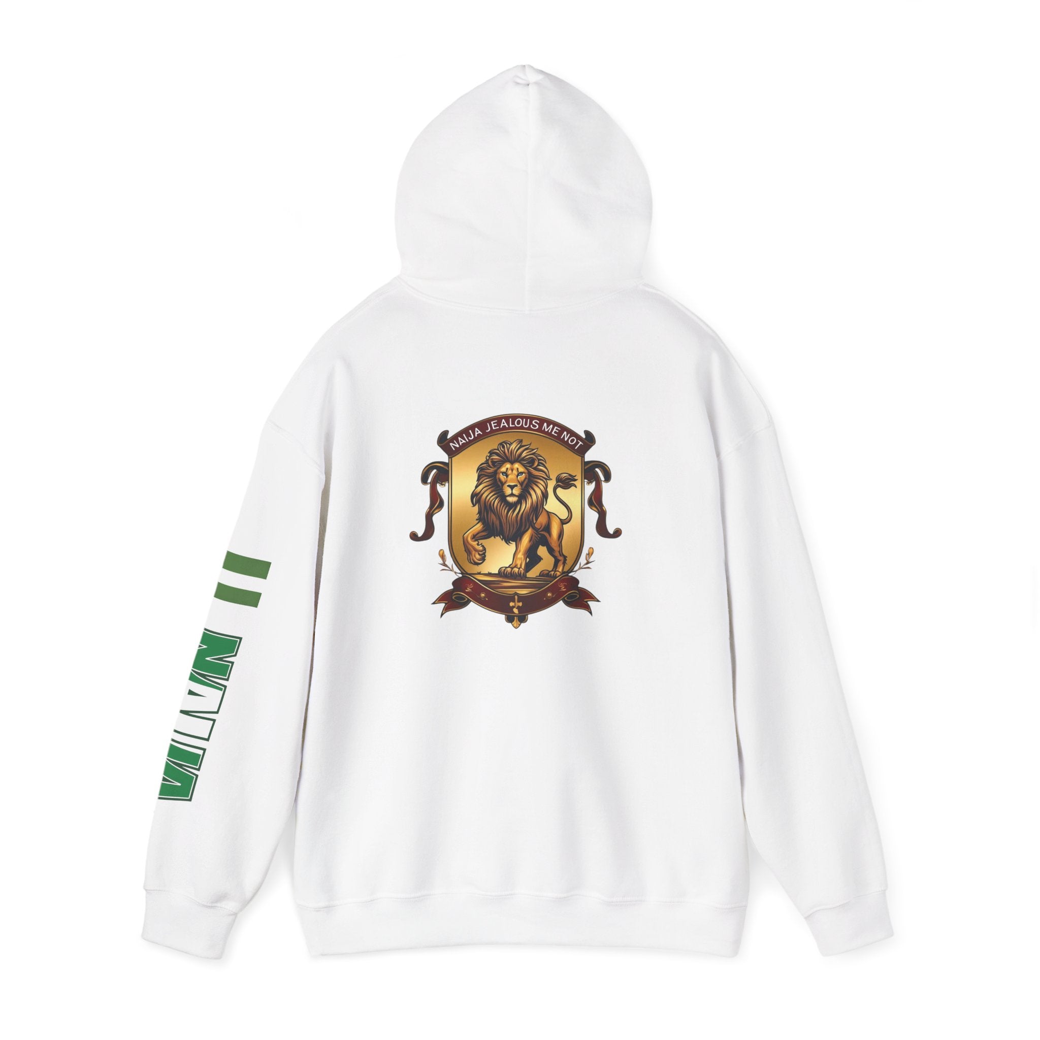 Naija Jealous Me Not Hoodie