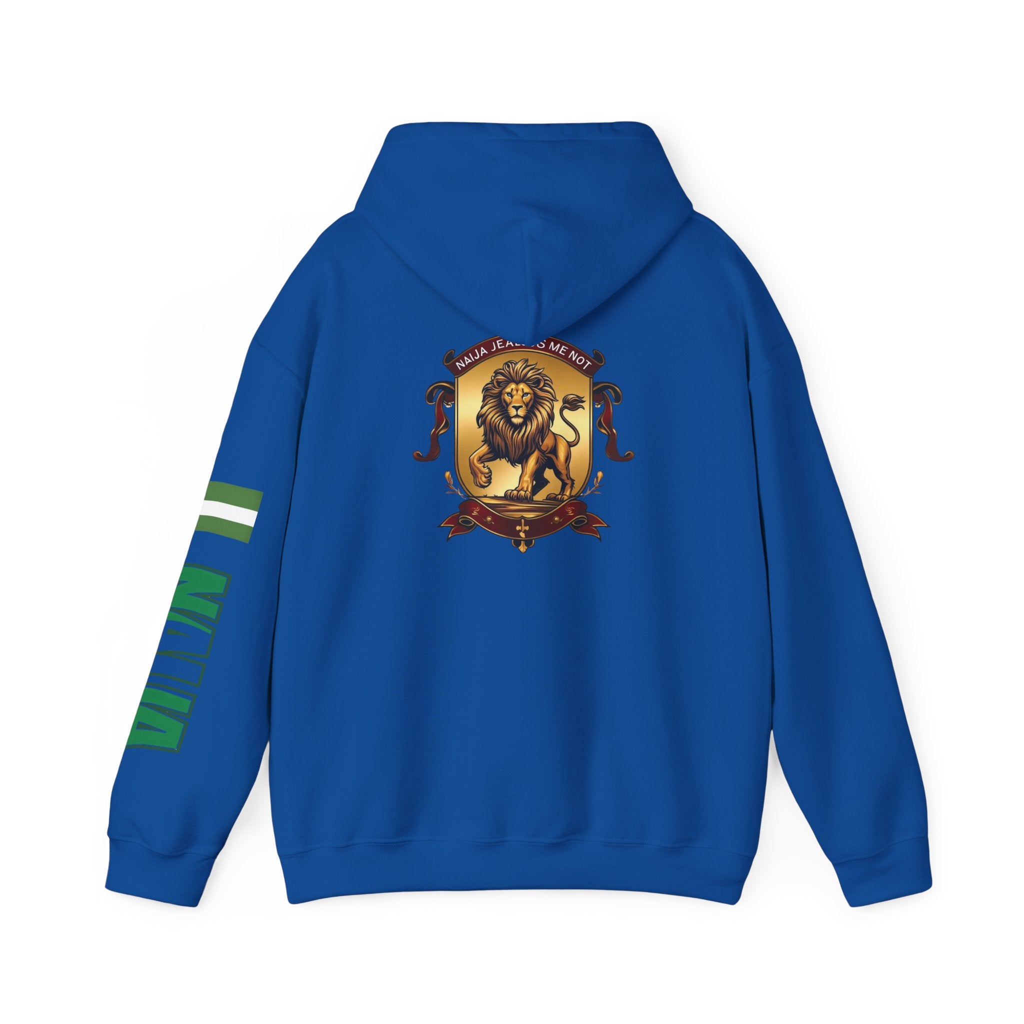 Naija Jealous Me Not Hoodie