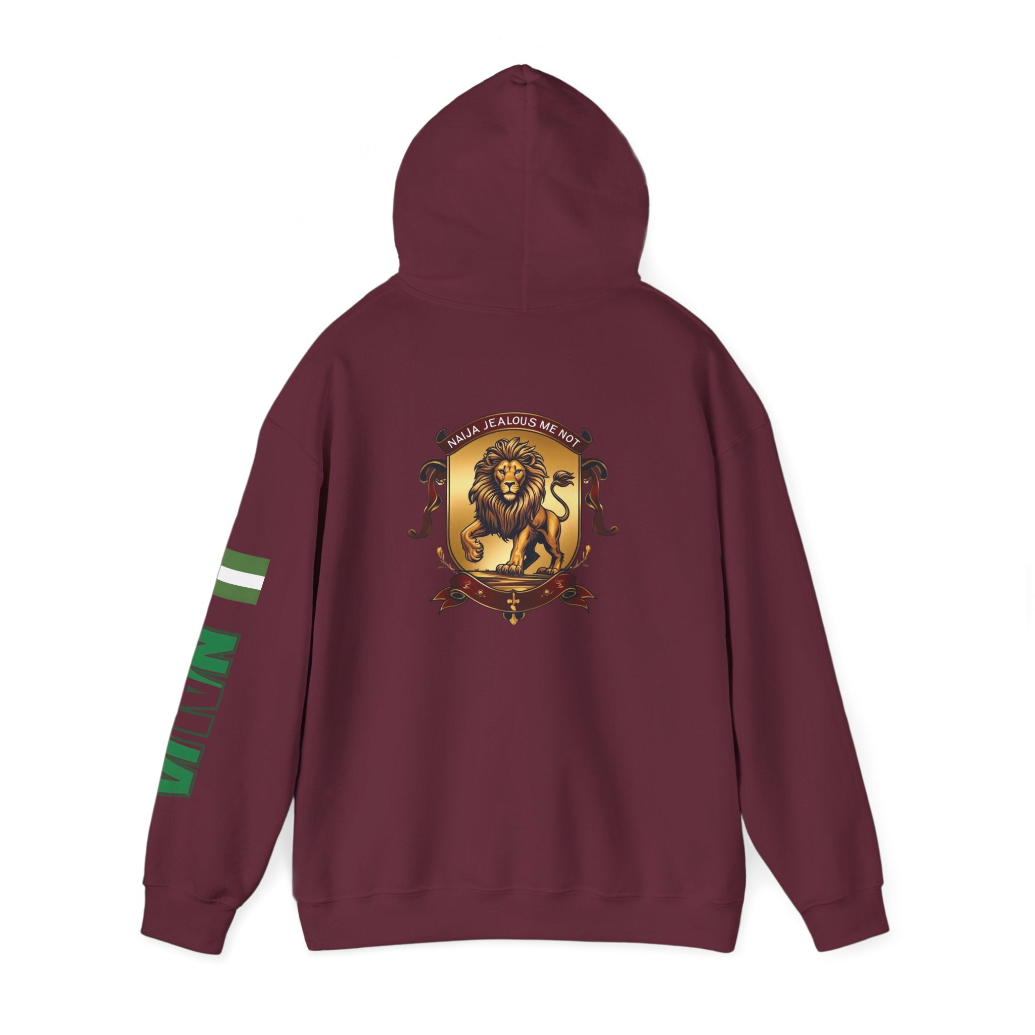 Naija Jealous Me Not Hoodie