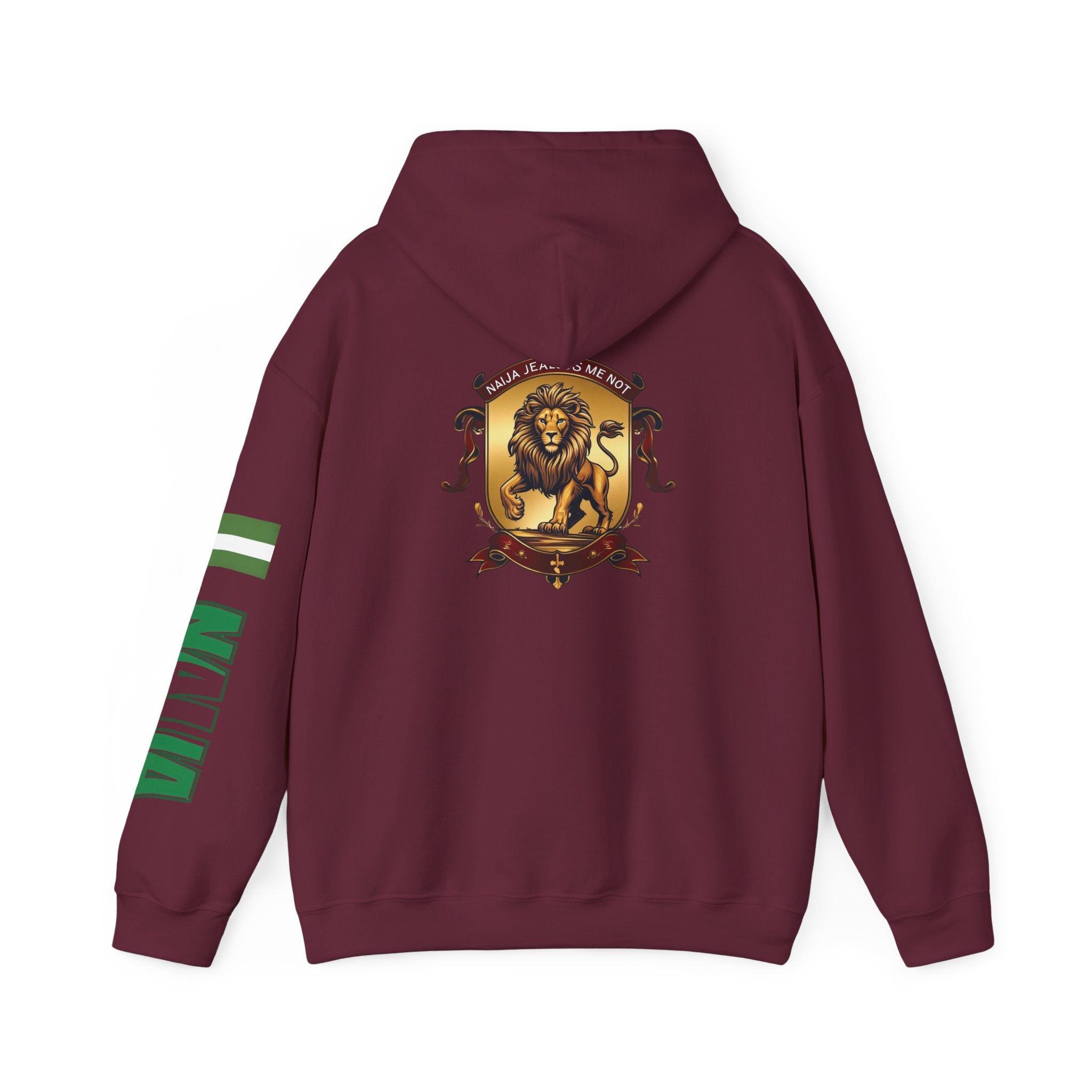 Naija Jealous Me Not Hoodie