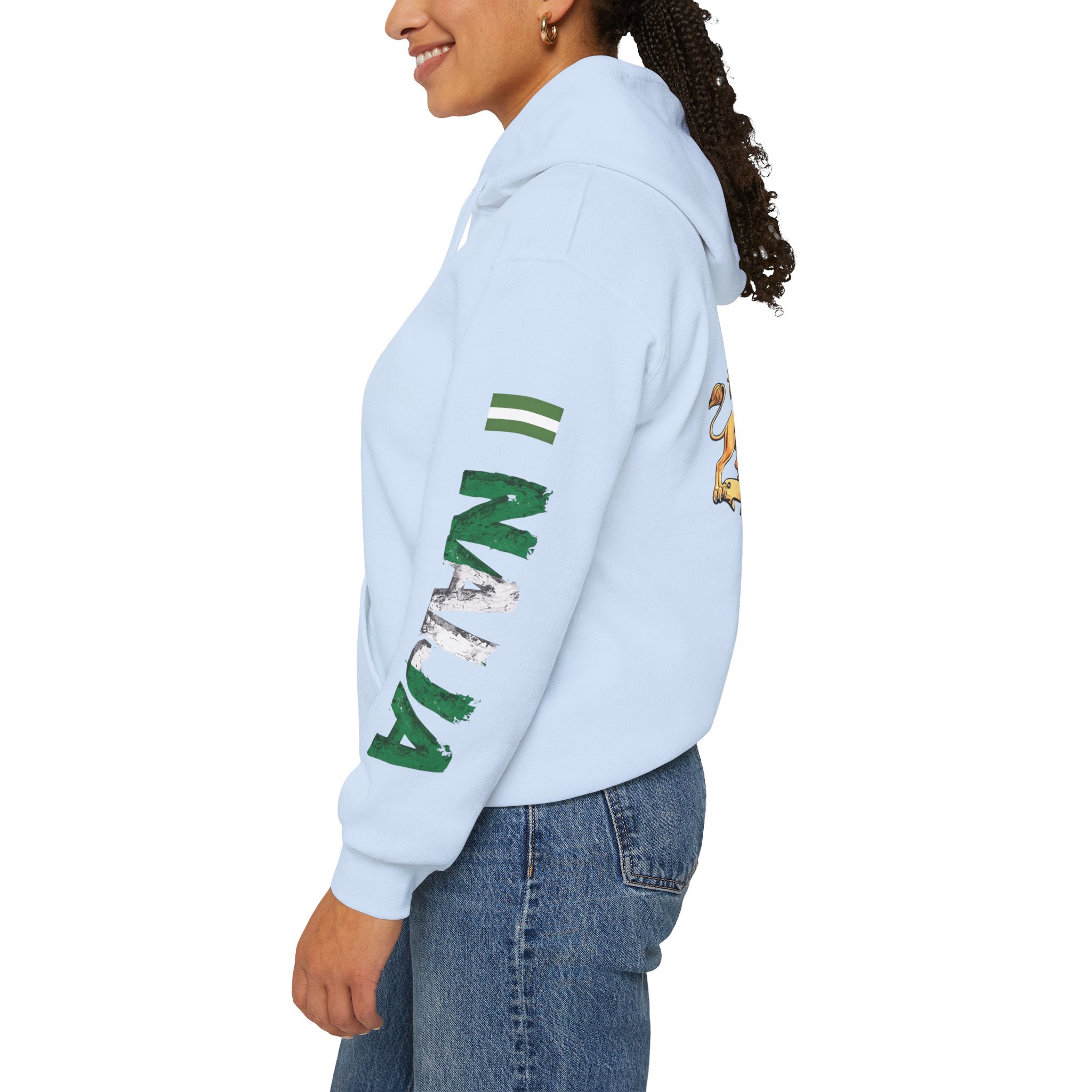 Naija - Jealous Me Not Hoodie