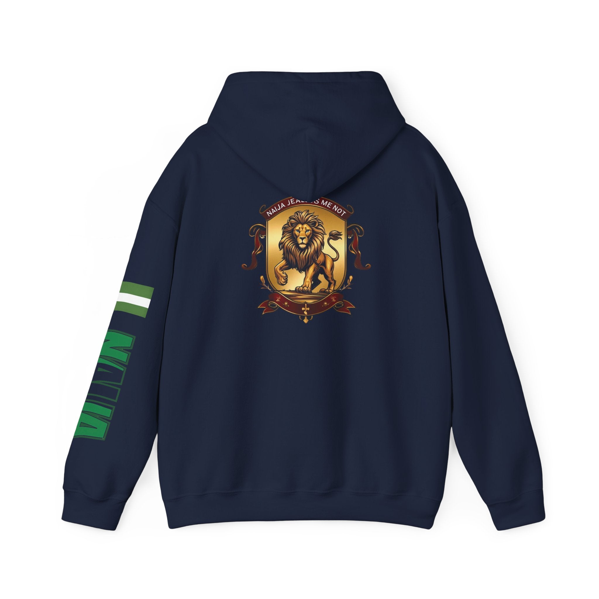 Naija Jealous Me Not Hoodie
