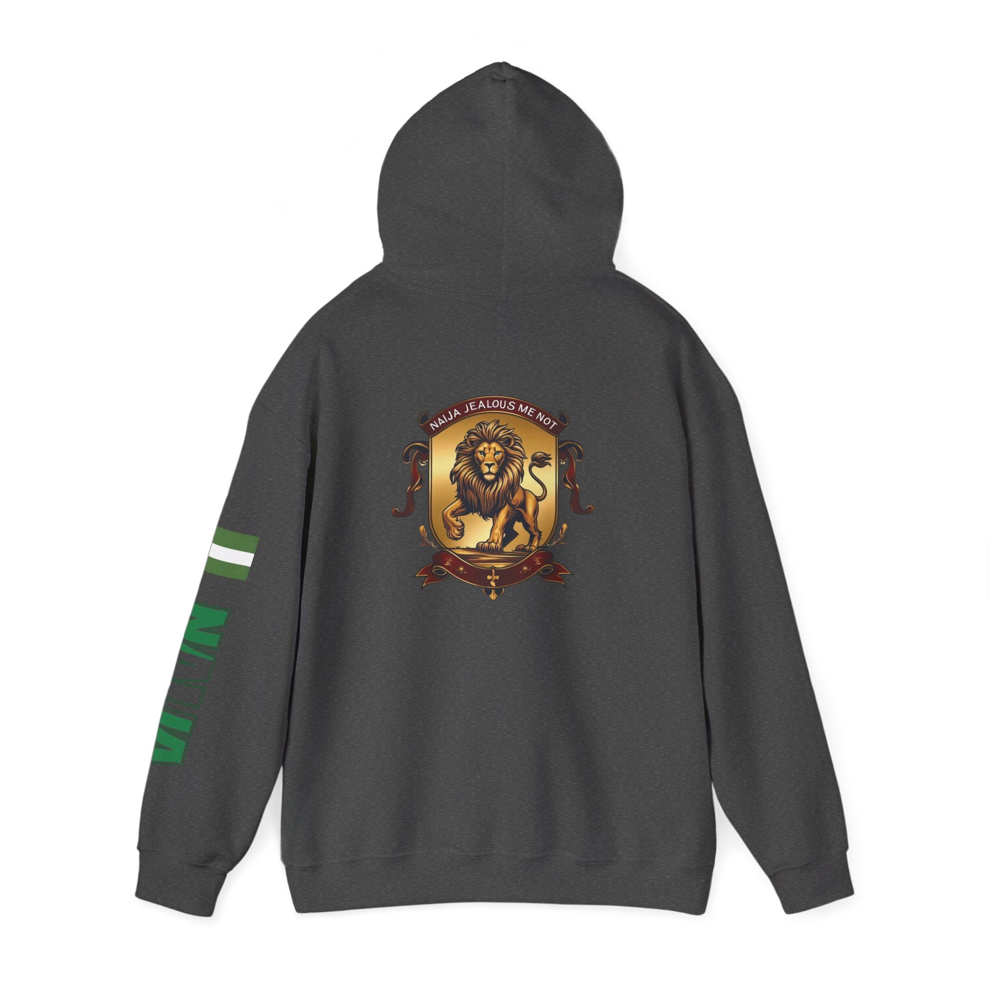 Naija Jealous Me Not Hoodie