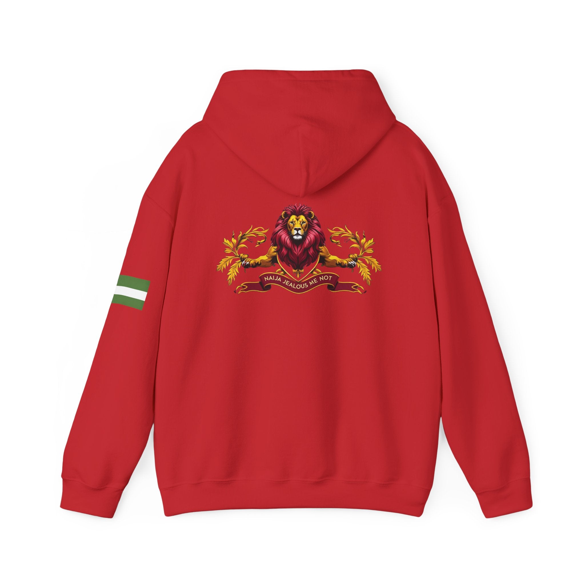 Naija- Jealous Me Not Hoodie