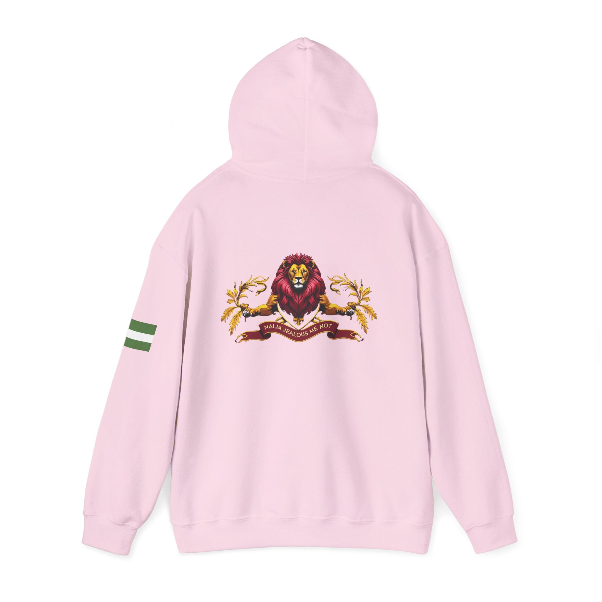 Naija- Jealous Me Not Hoodie