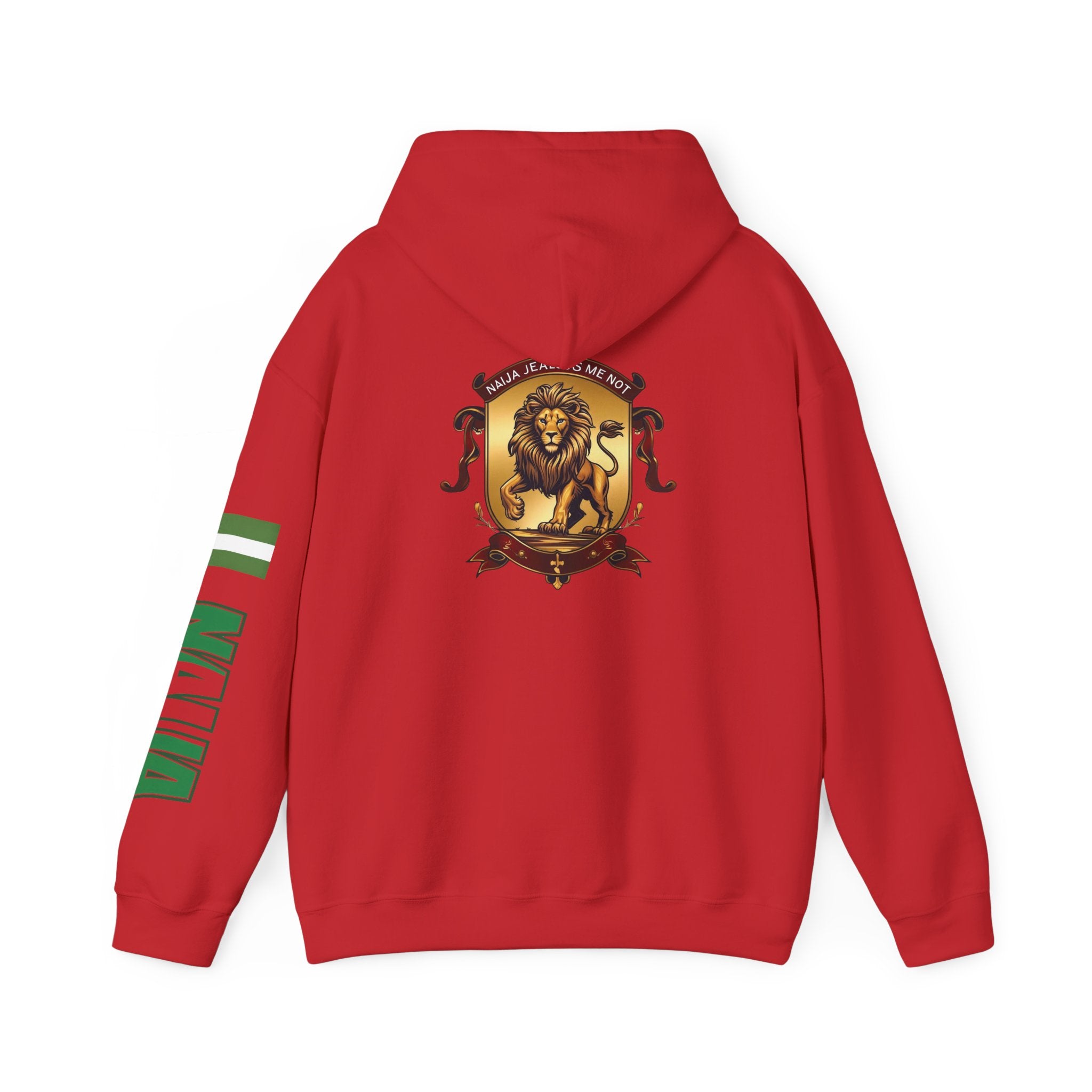 Naija Jealous Me Not Hoodie