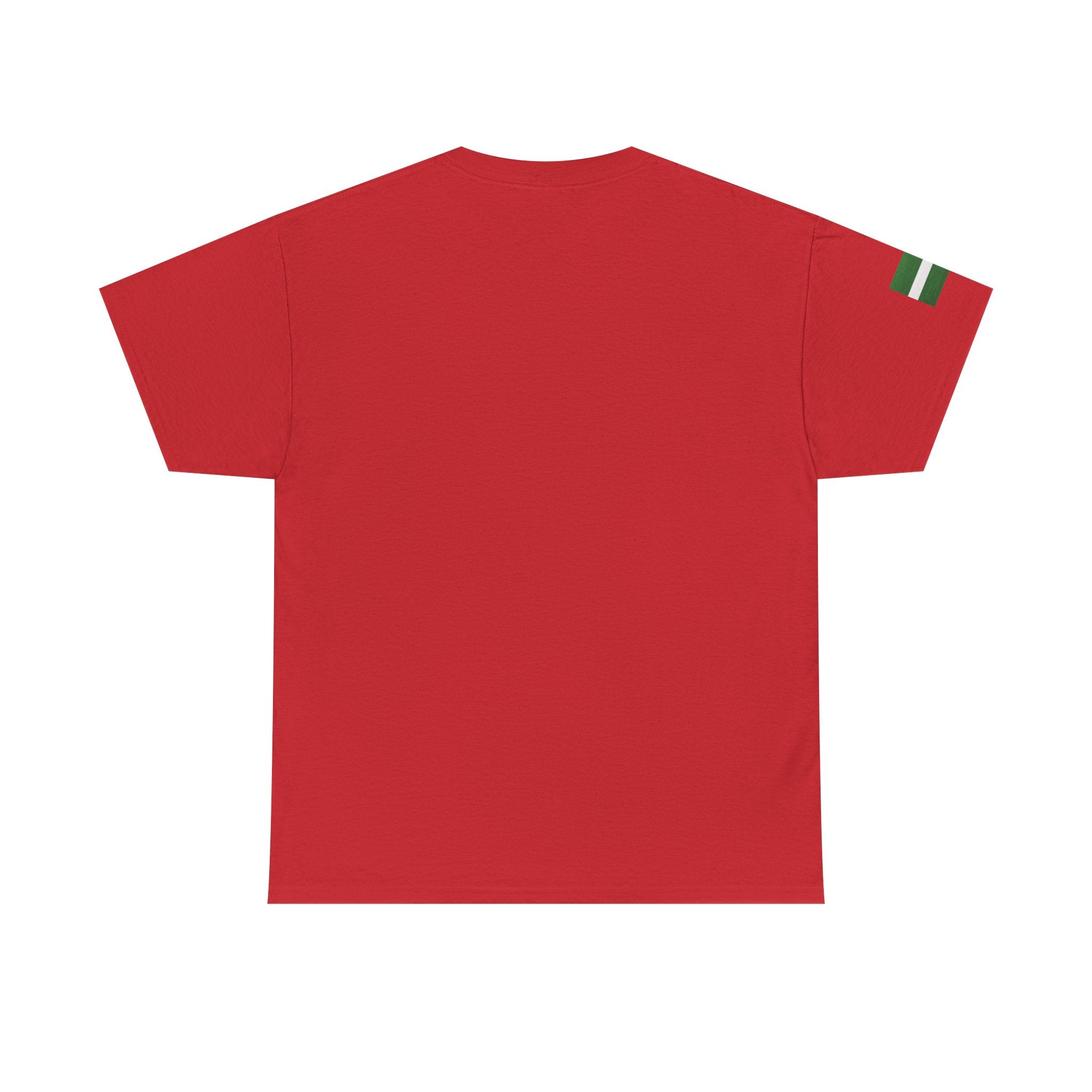 Naija of Course 2026 New Years Day Fashionable T-shirt