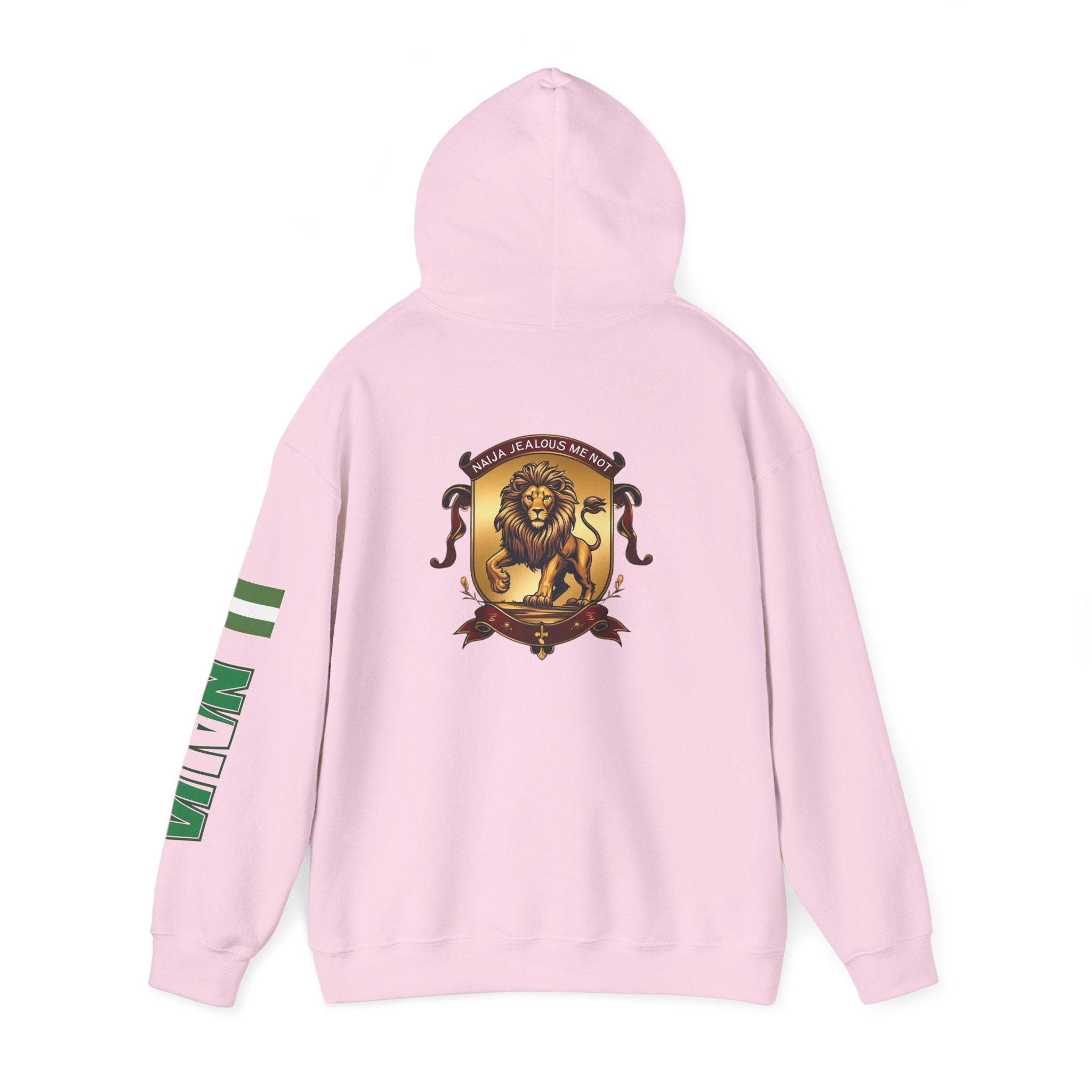Naija Jealous Me Not Hoodie