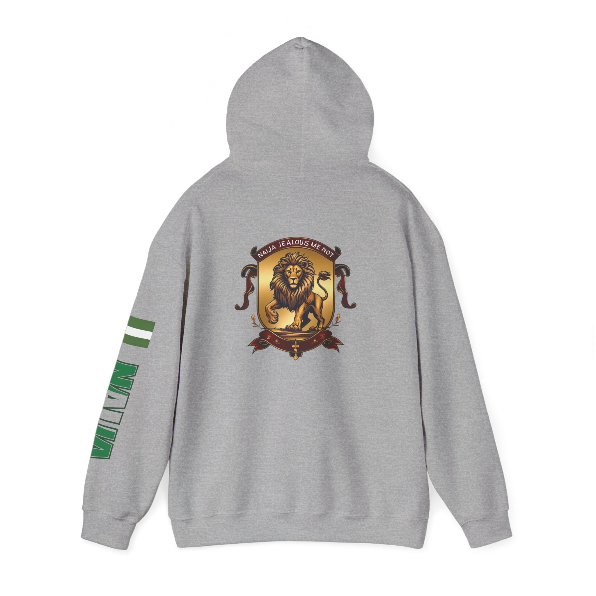 Naija Jealous Me Not Hoodie