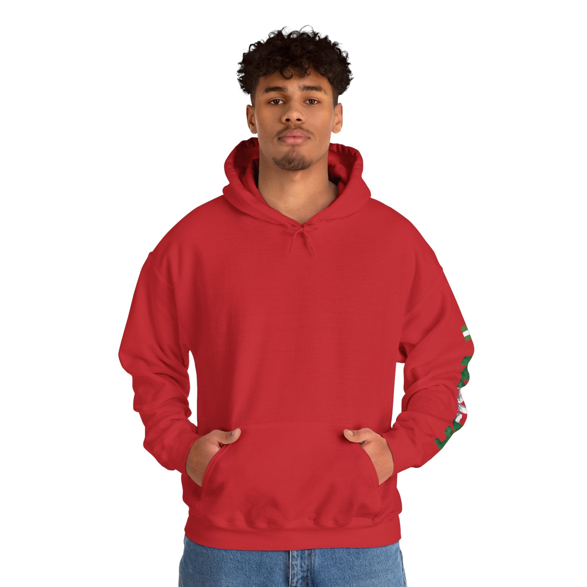 Naija - Jealous Me Not Hoodie