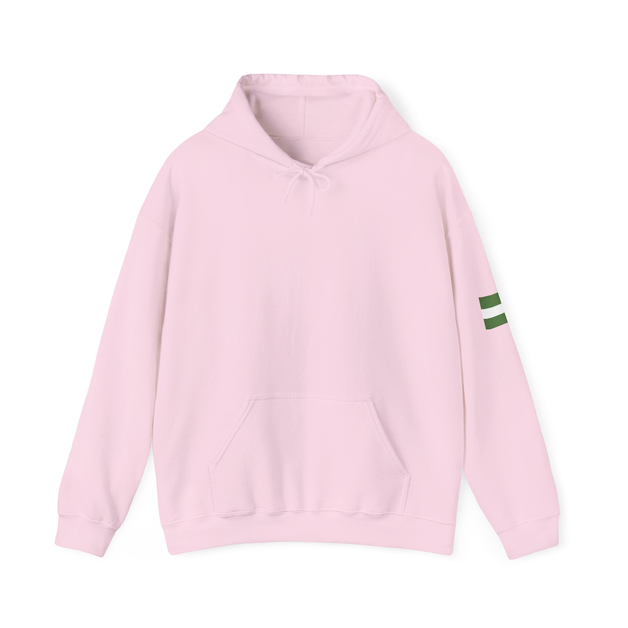 Naija- Jealous Me Not Hoodie