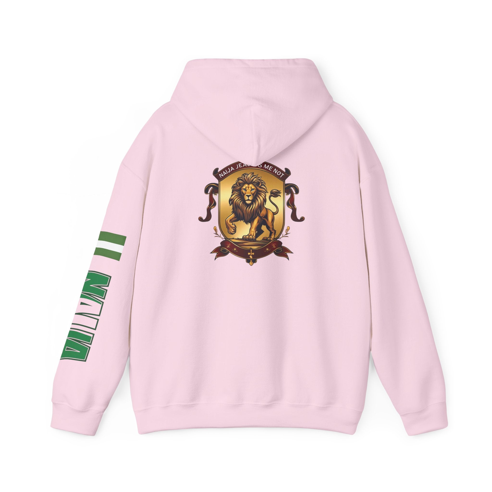 Naija Jealous Me Not Hoodie