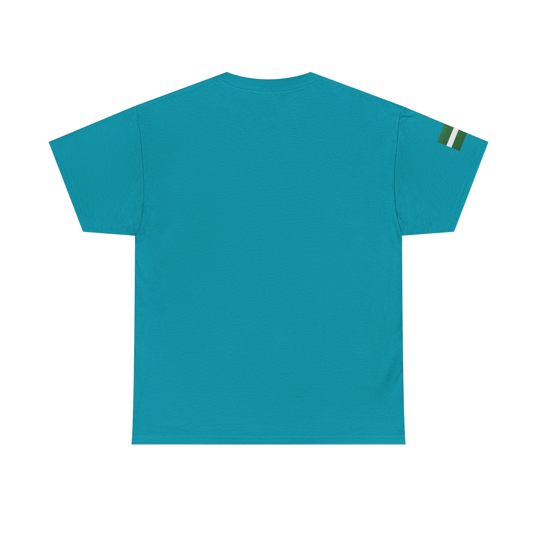 Naija of Course 2026 New Years Day Fashionable T-shirt