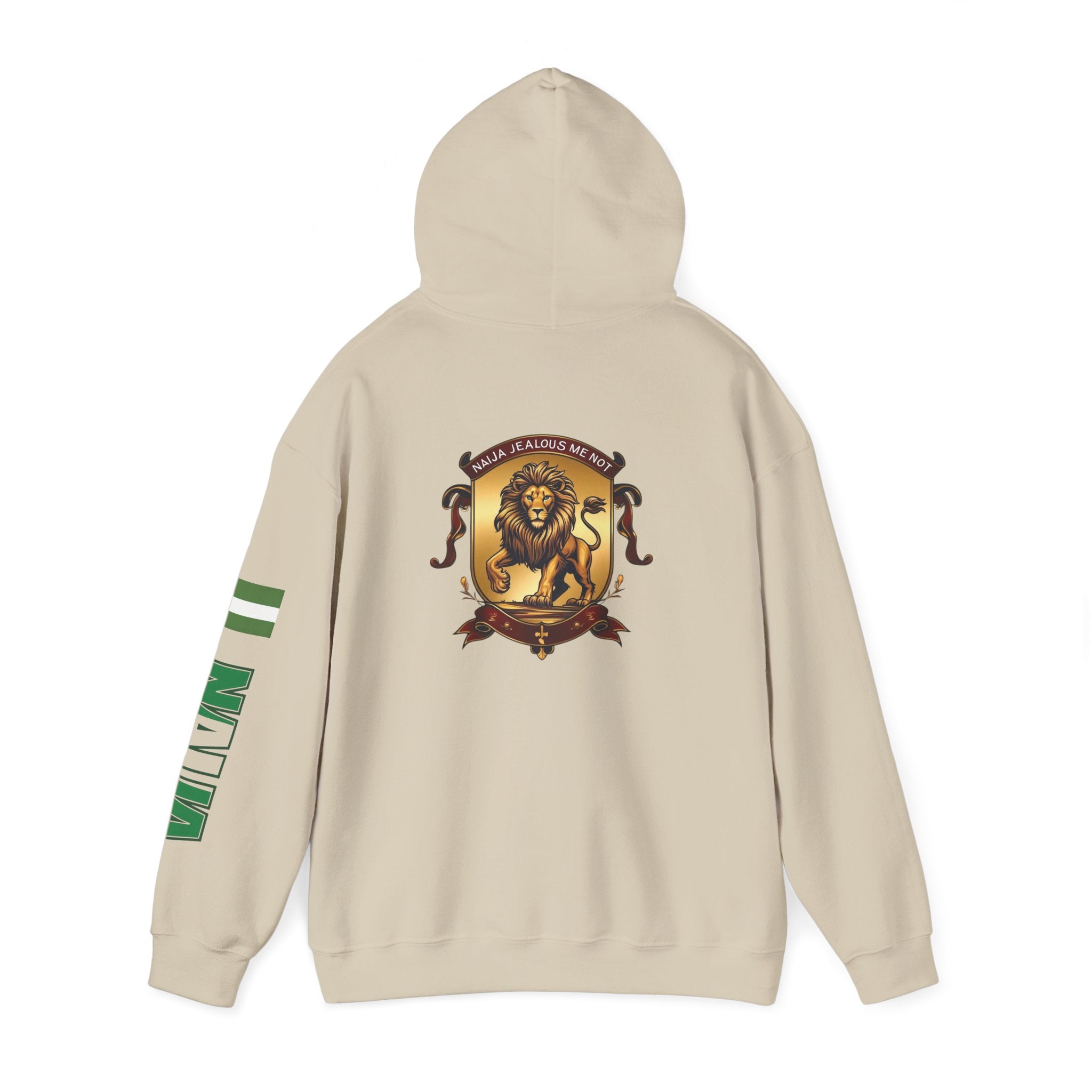 Naija Jealous Me Not Hoodie
