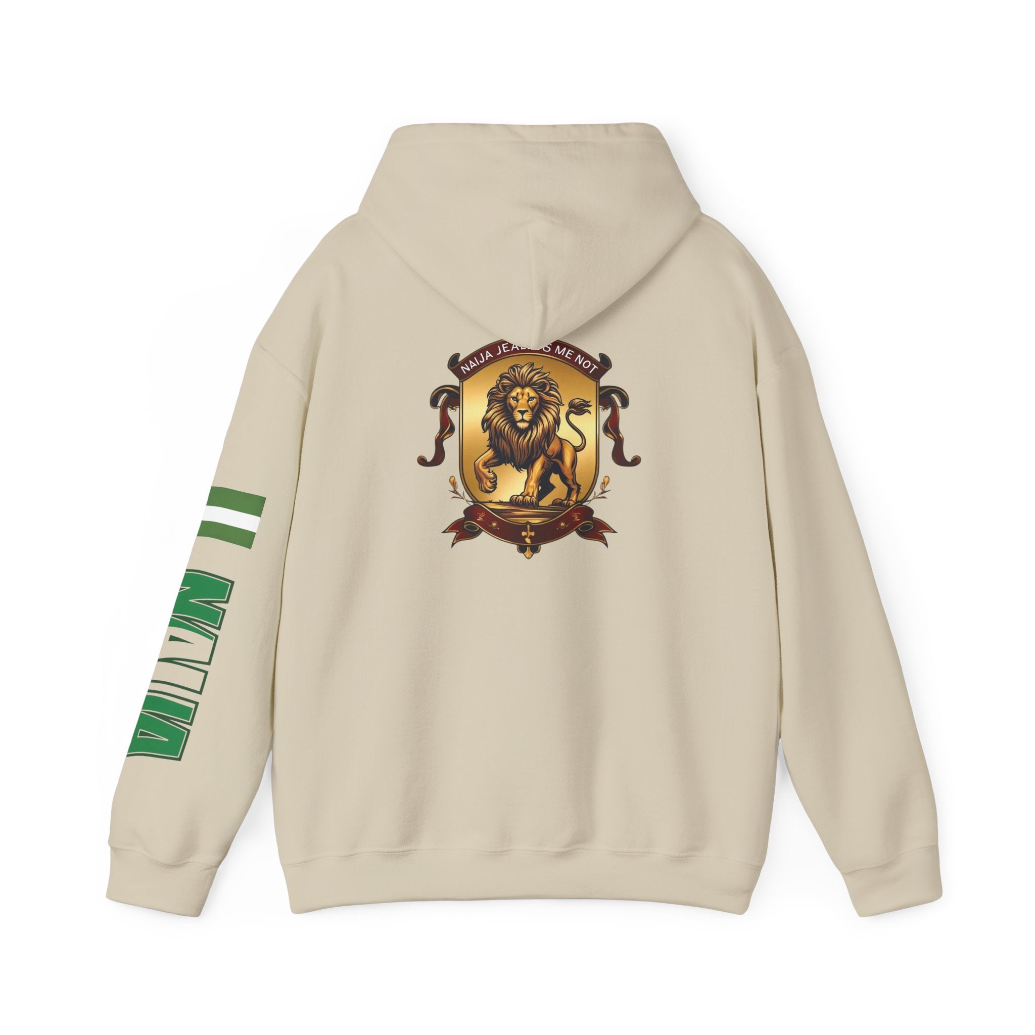 Naija Jealous Me Not Hoodie