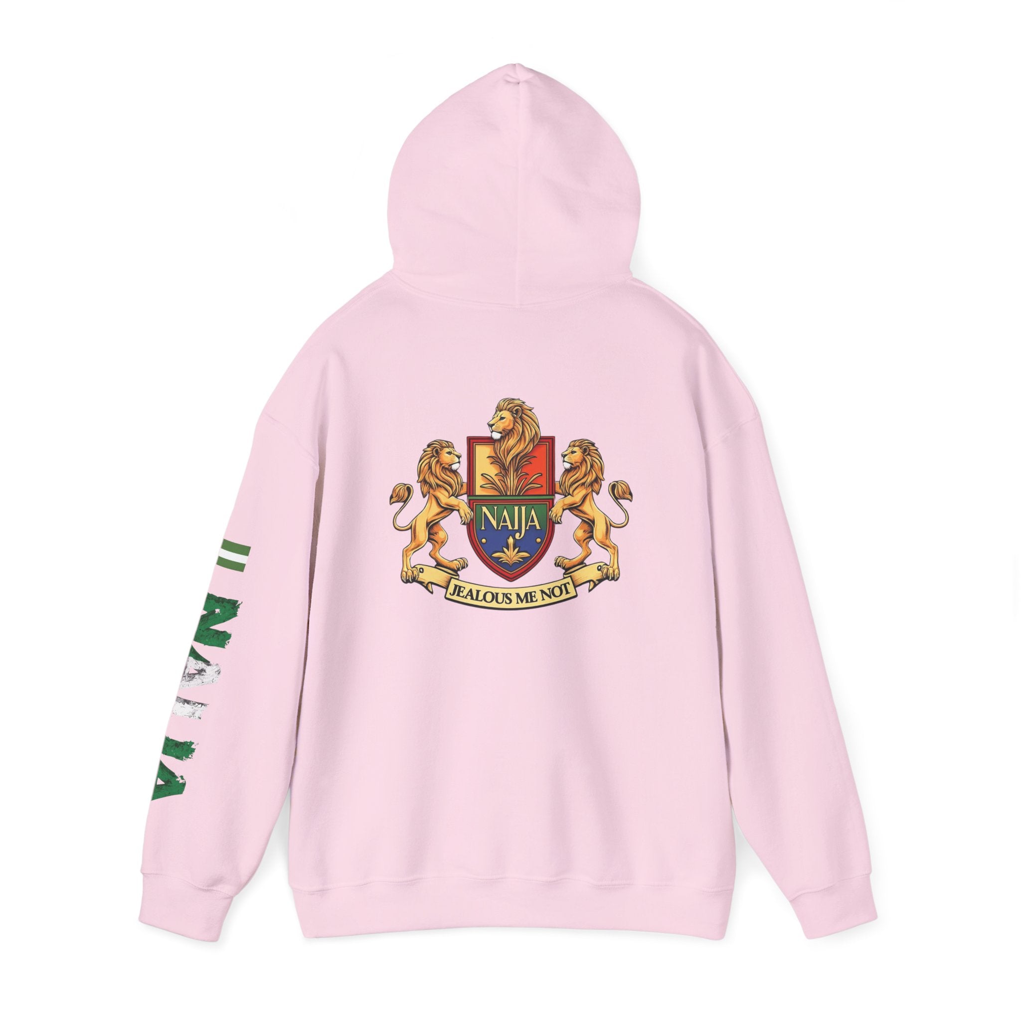 Naija - Jealous Me Not Hoodie