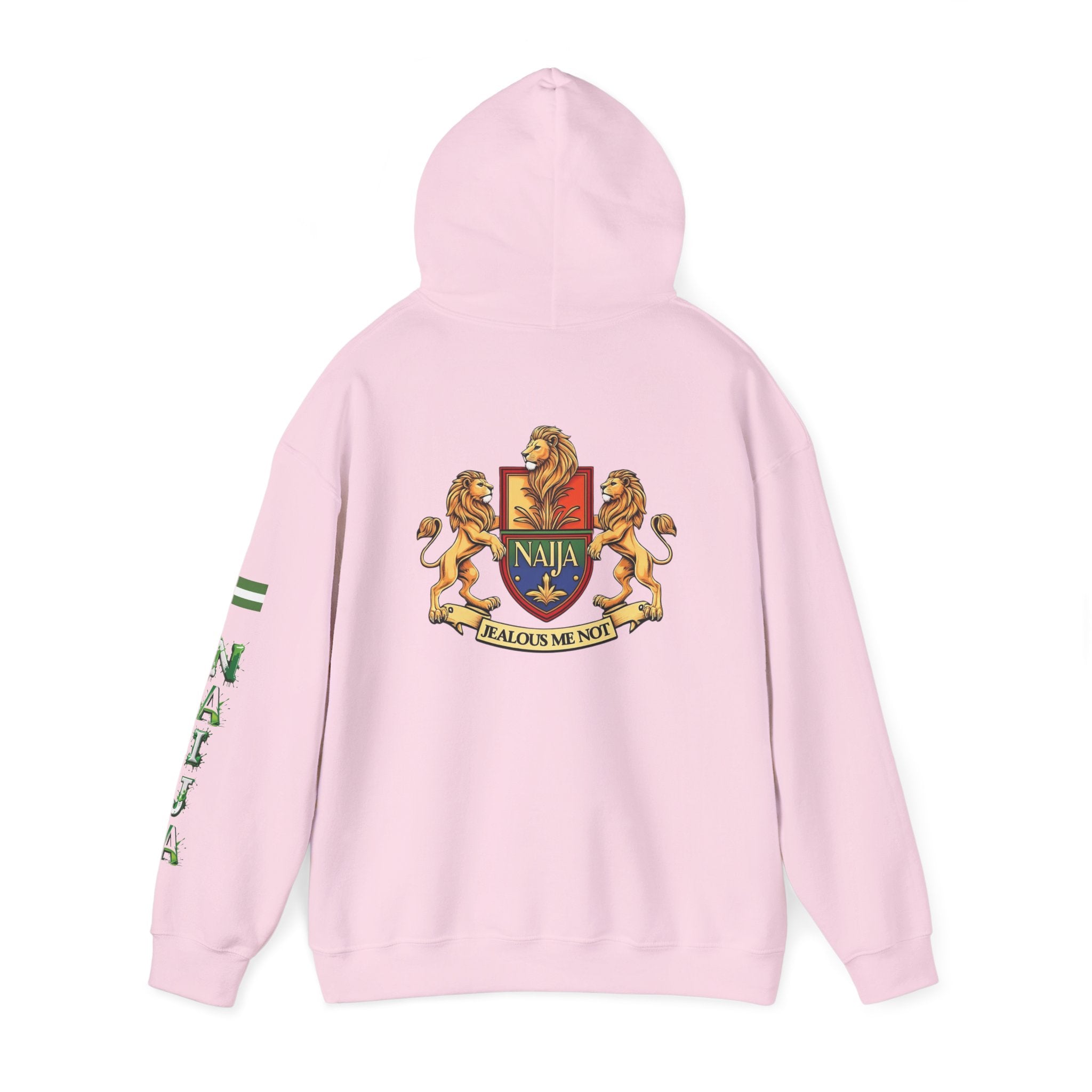 Naija, Jealous Me Not Hoodie