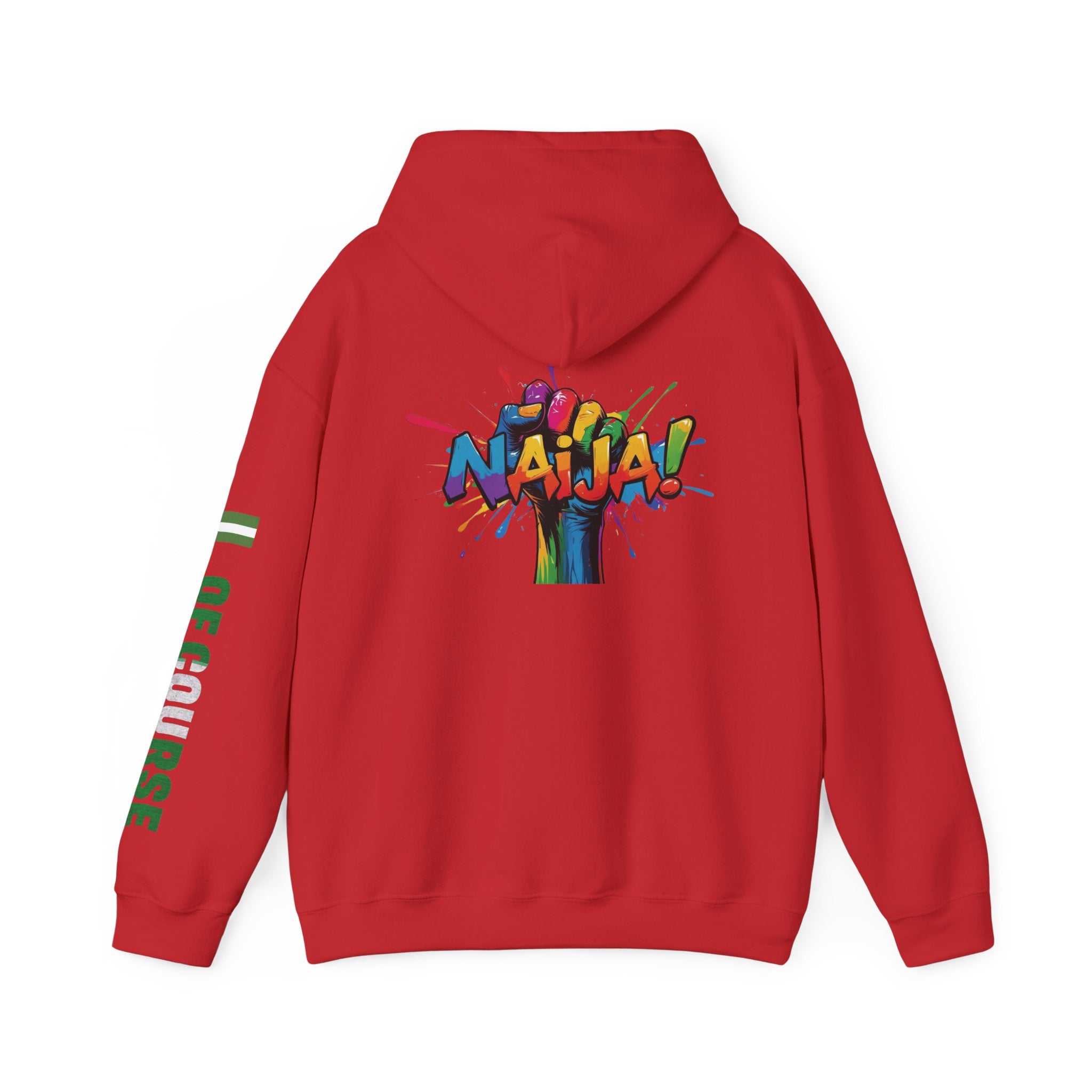 Nigeria Of Course  Power, Hoodie