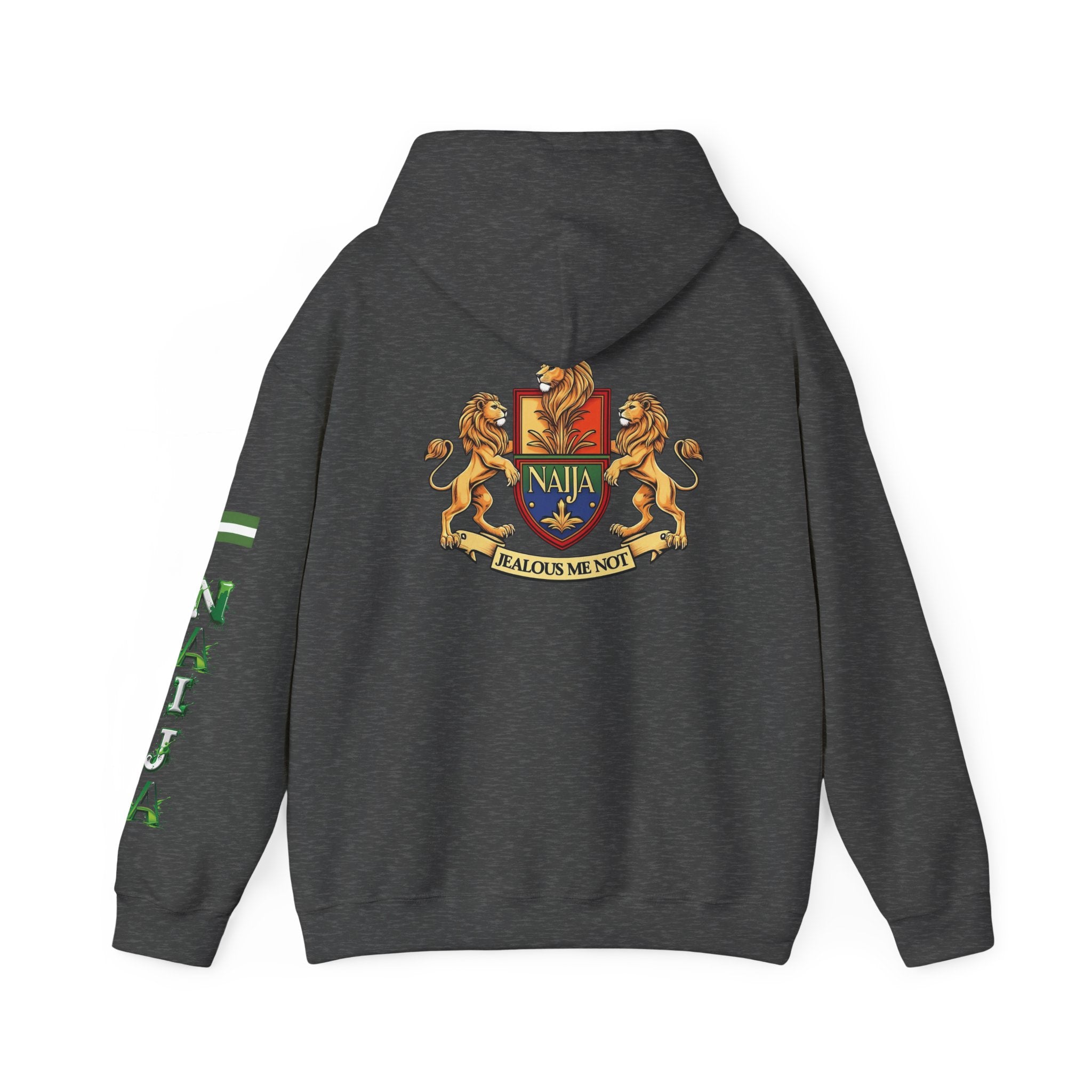 Naija, Jealous Me Not Hoodie