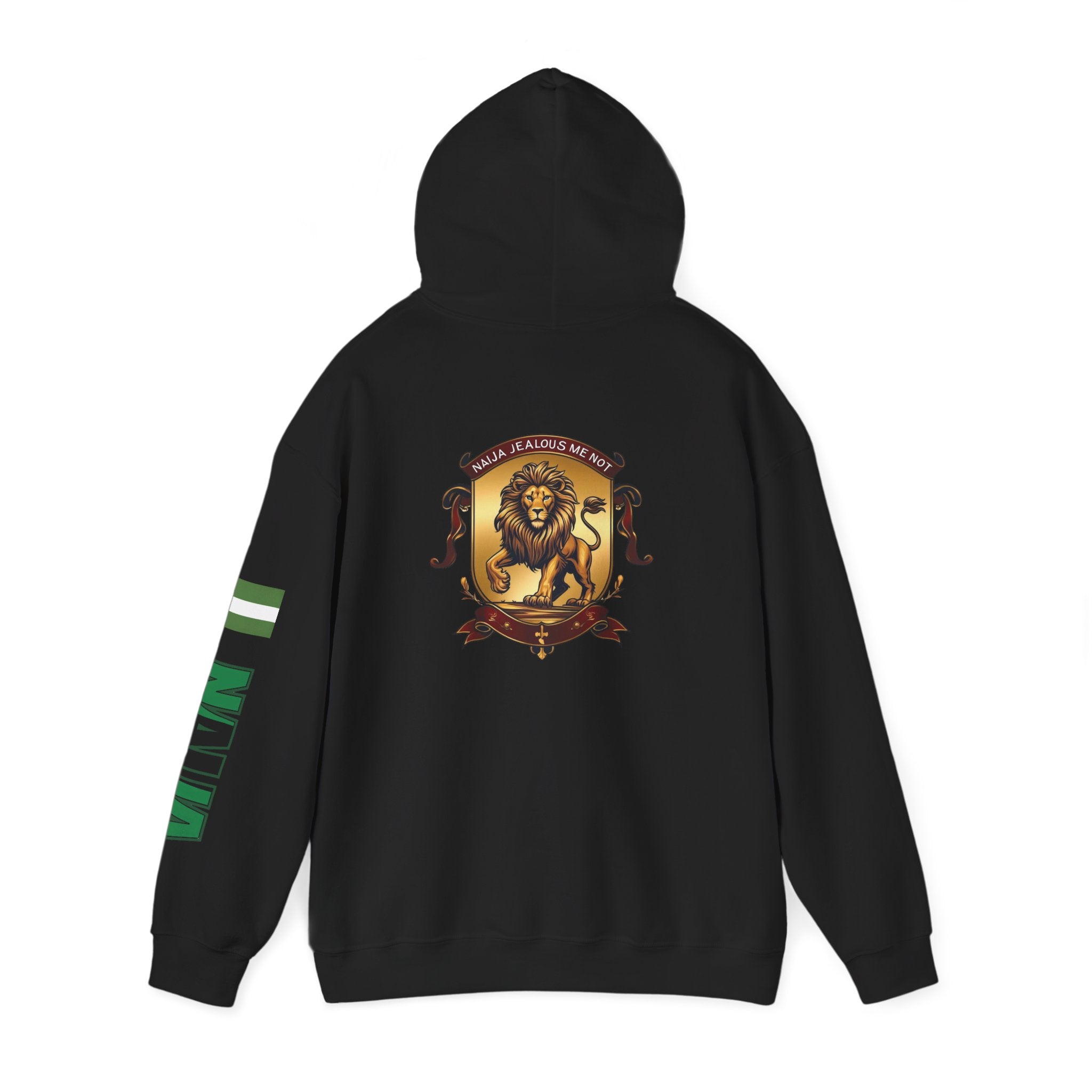 Naija Jealous Me Not Hoodie