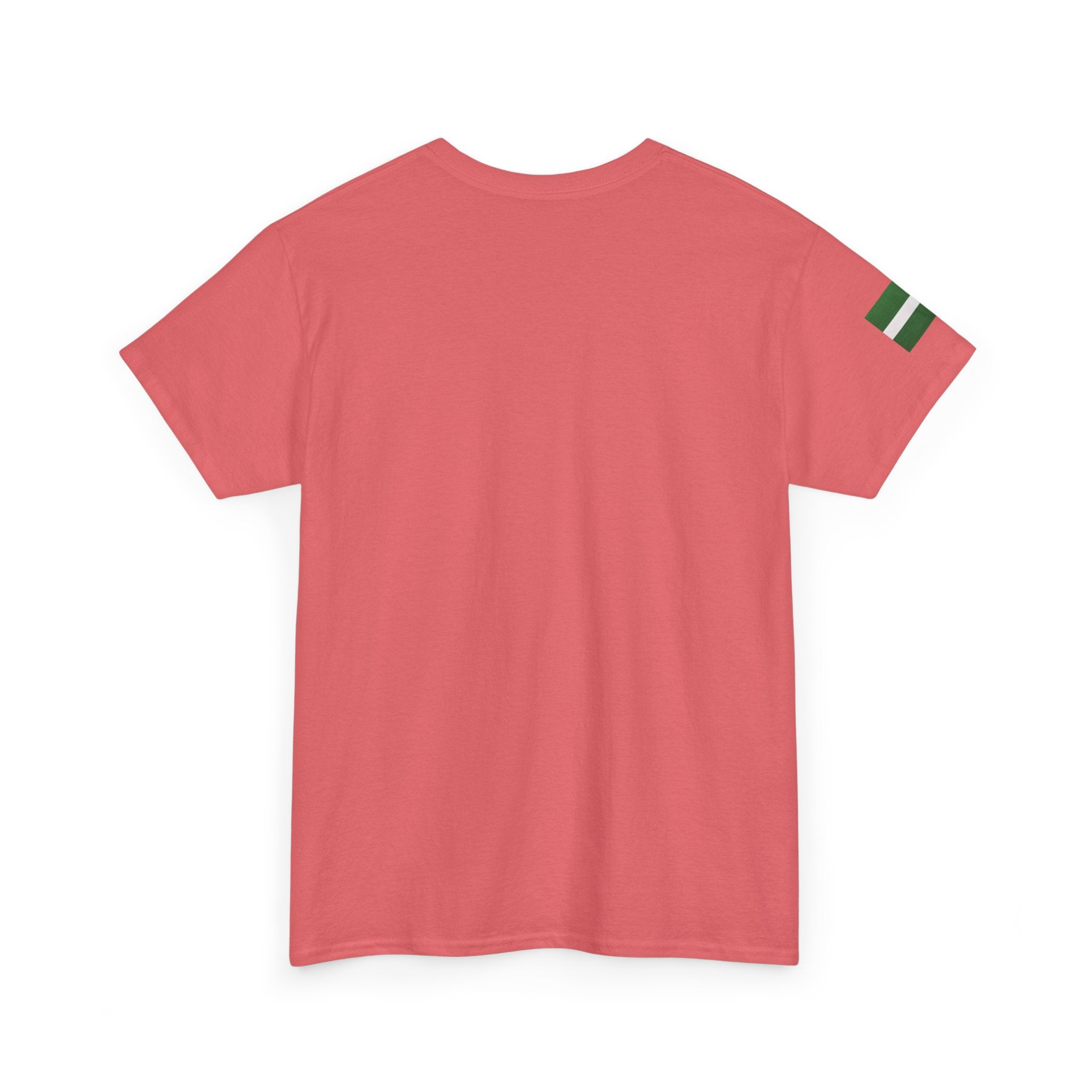 Naija of Course 2026 New Years Day Fashionable T-shirt