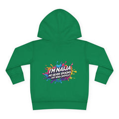Naija No Silver Spoons, Just send Crypto Toddler Pullover Fleece Hoodie