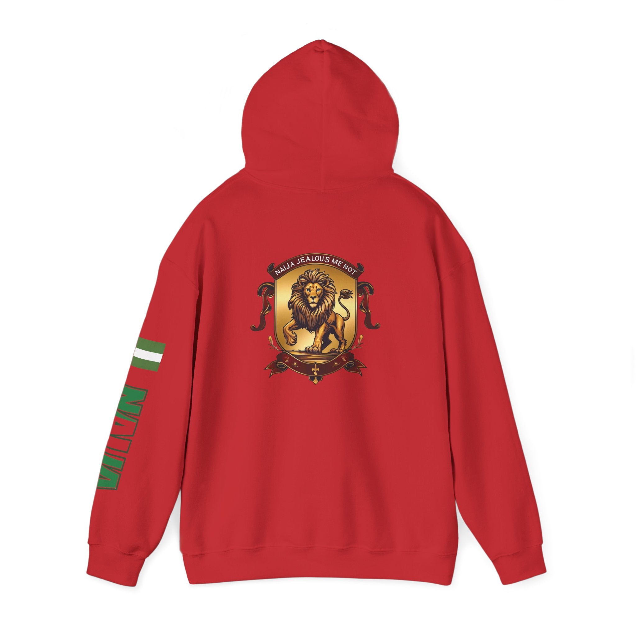 Naija Jealous Me Not Hoodie