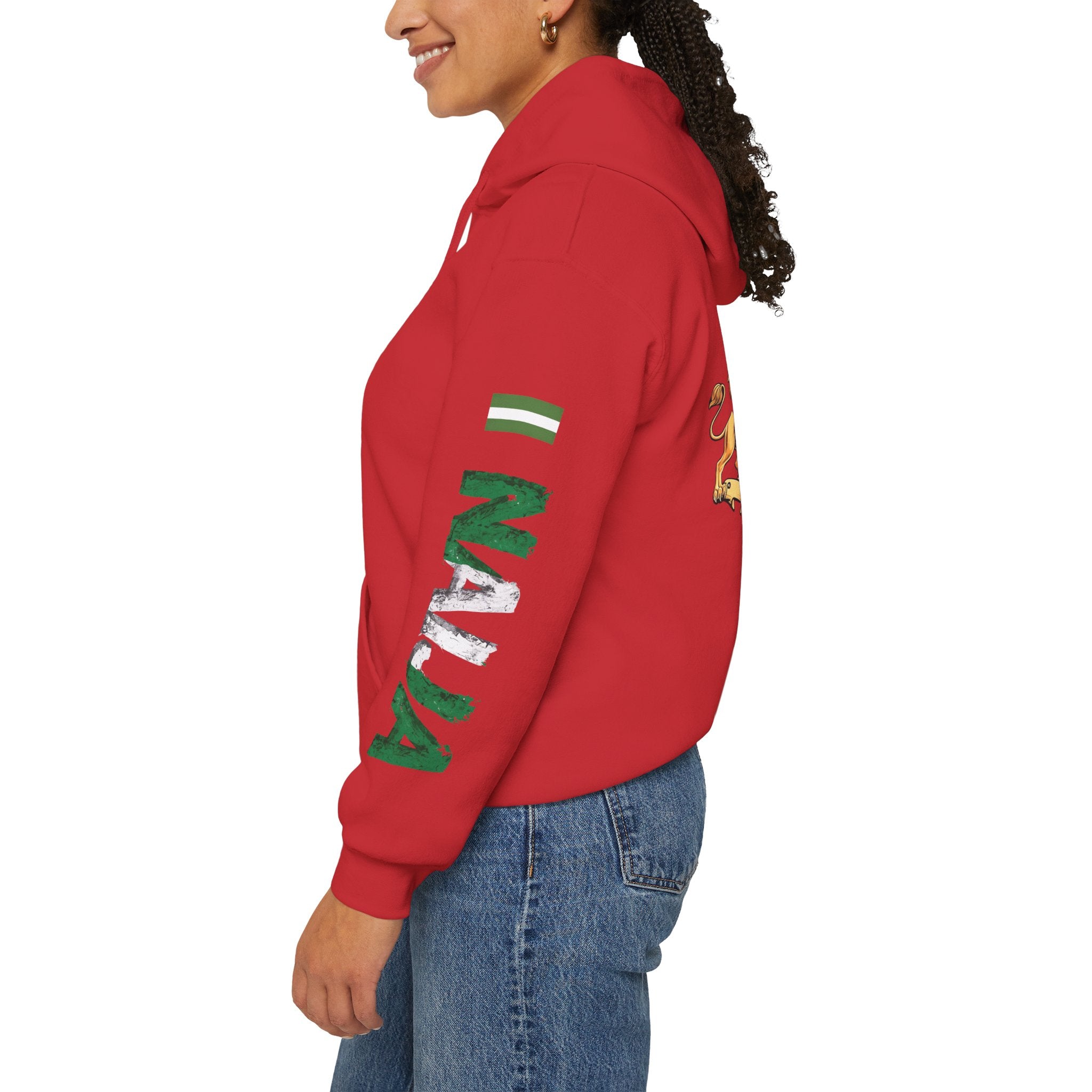 Naija - Jealous Me Not Hoodie