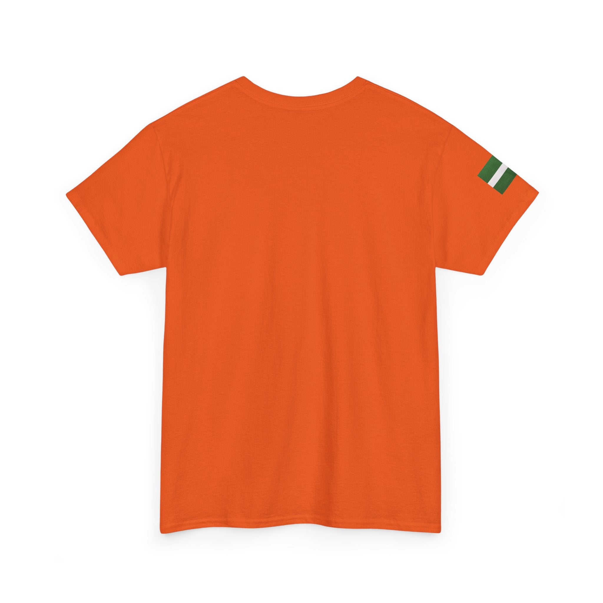 Naija of Course 2026 New Years Day Fashionable T-shirt