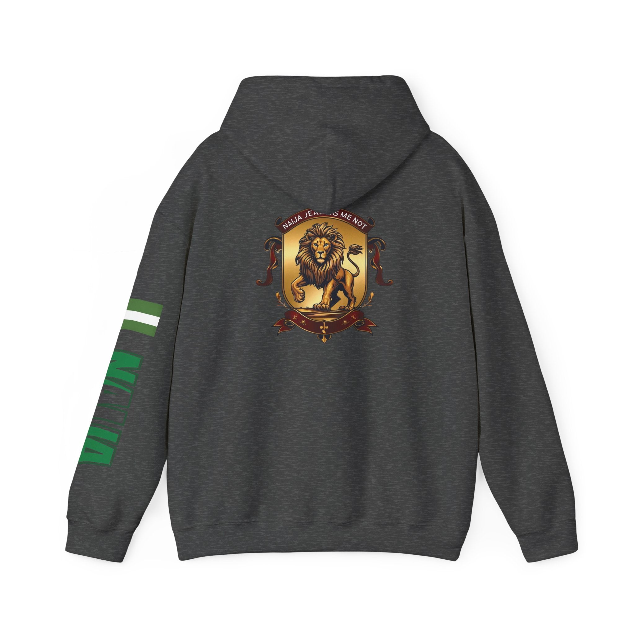 Naija Jealous Me Not Hoodie