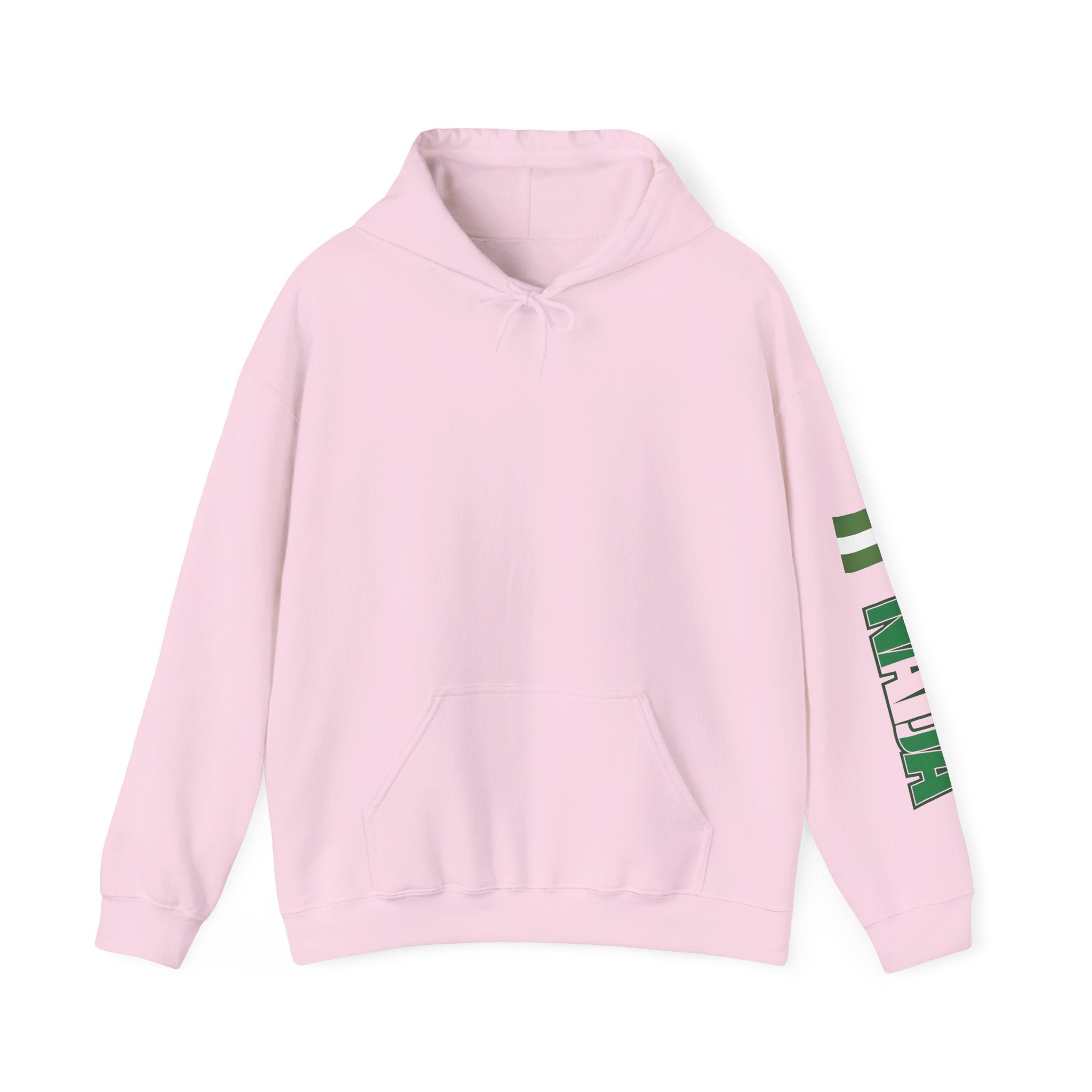Naija Jealous Me Not Hoodie