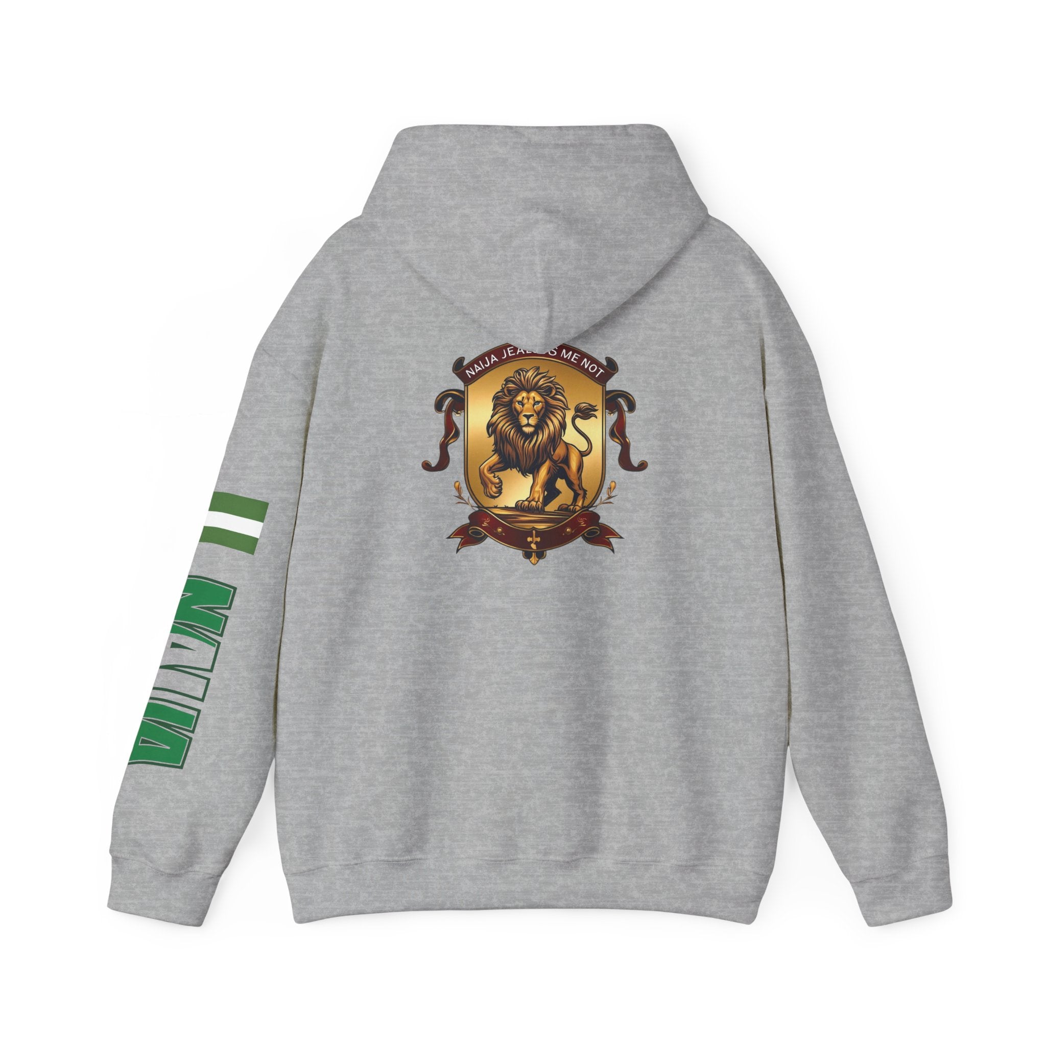 Naija Jealous Me Not Hoodie