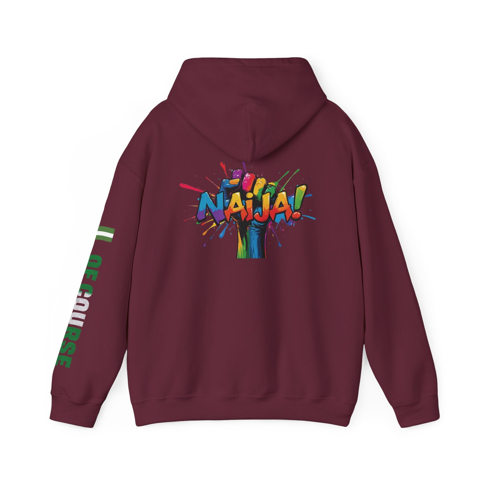 Nigeria Of Course  Power, Hoodie