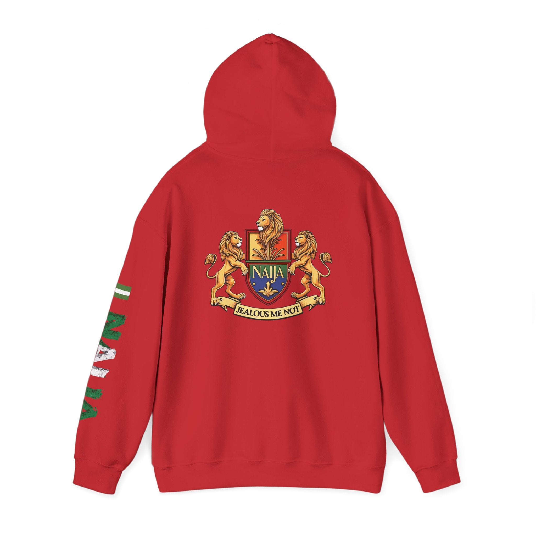 Naija - Jealous Me Not Hoodie
