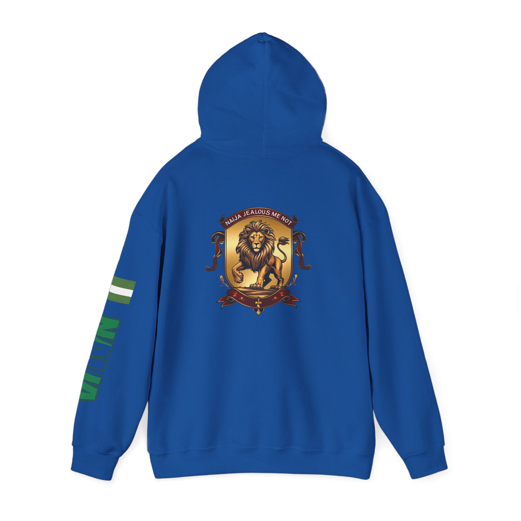 Naija Jealous Me Not Hoodie