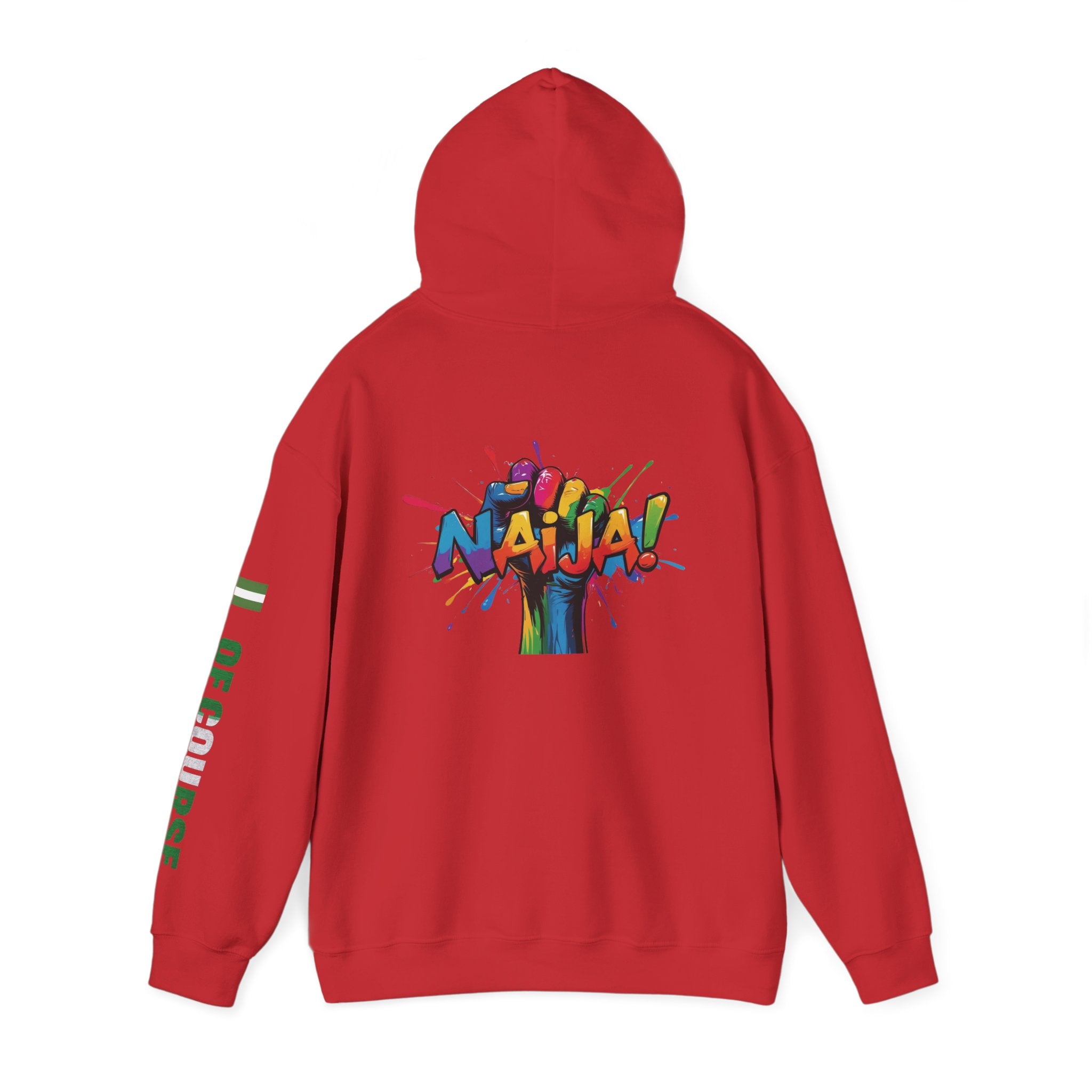 Nigeria Of Course  Power, Hoodie