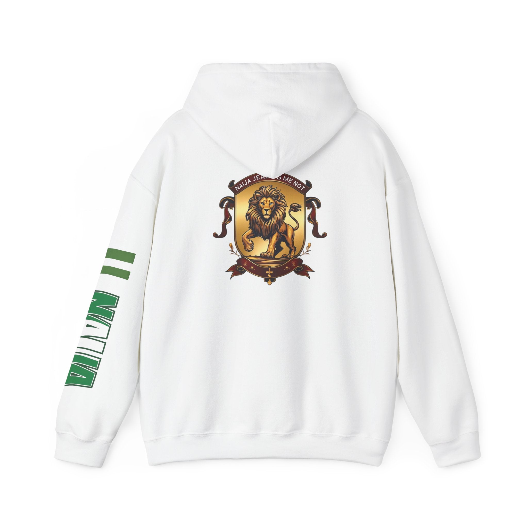 Naija Jealous Me Not Hoodie