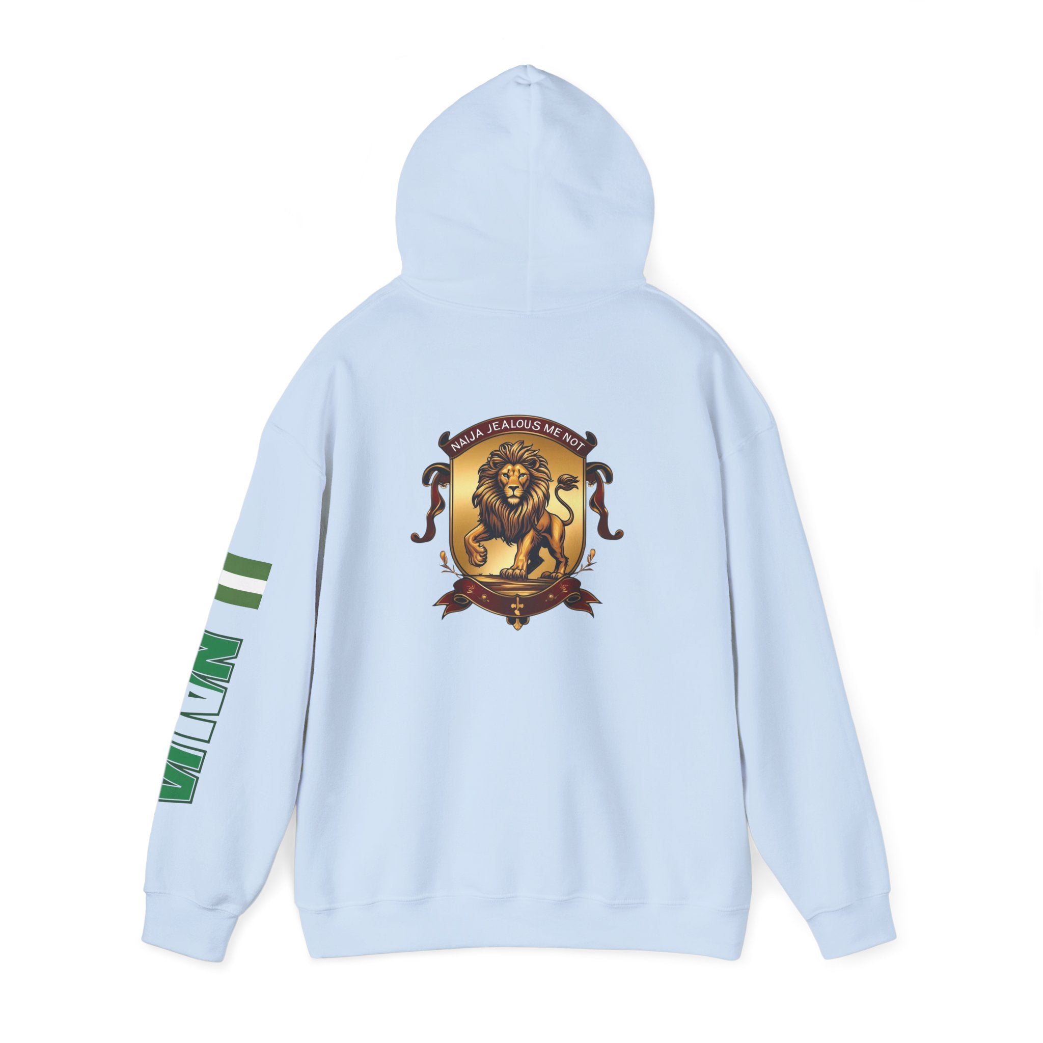 Naija Jealous Me Not Hoodie