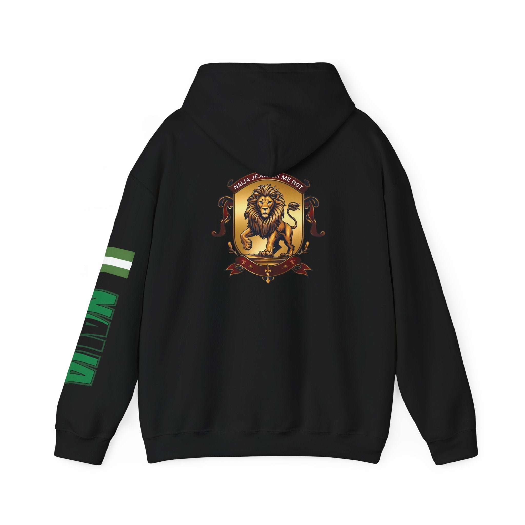 Naija Jealous Me Not Hoodie