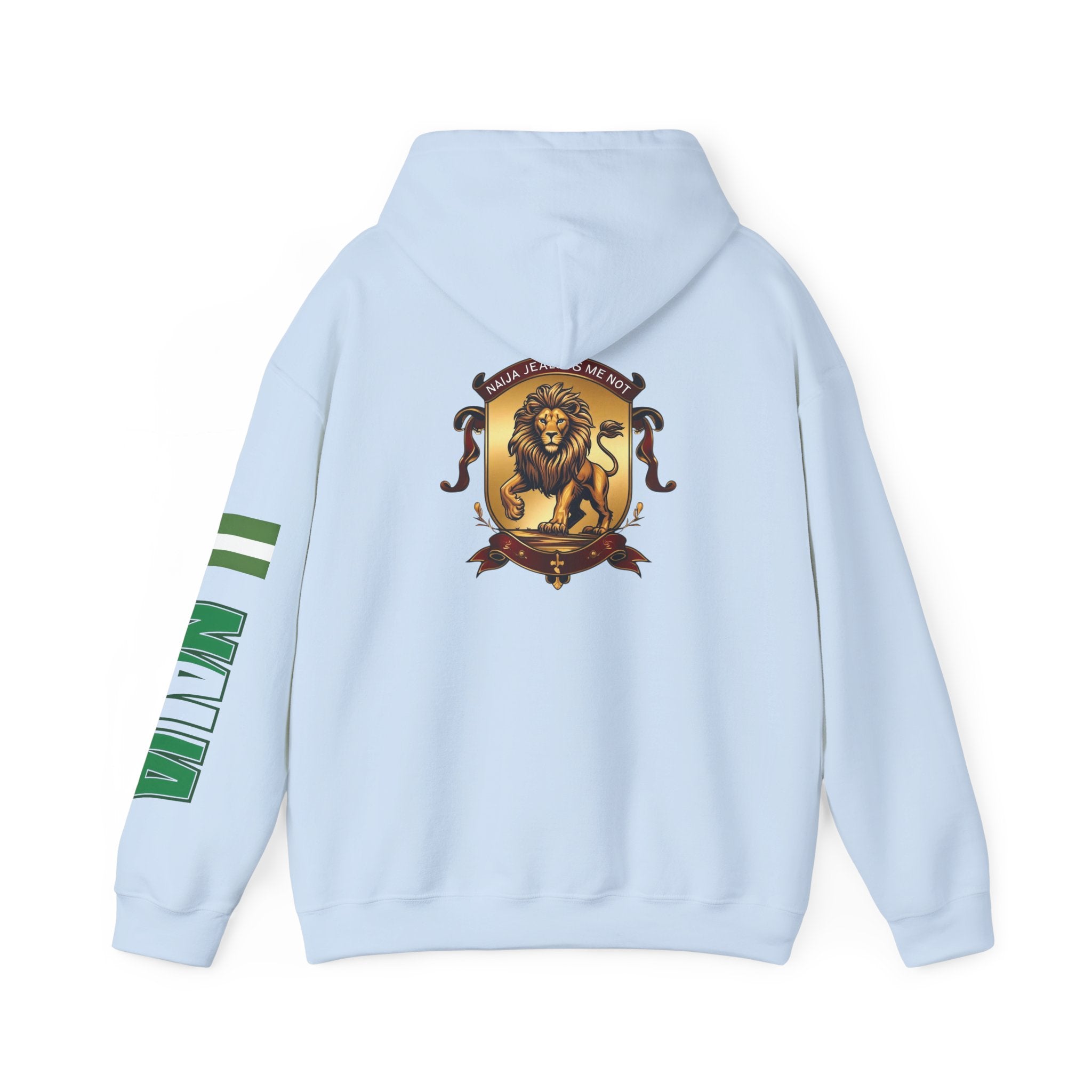 Naija Jealous Me Not Hoodie