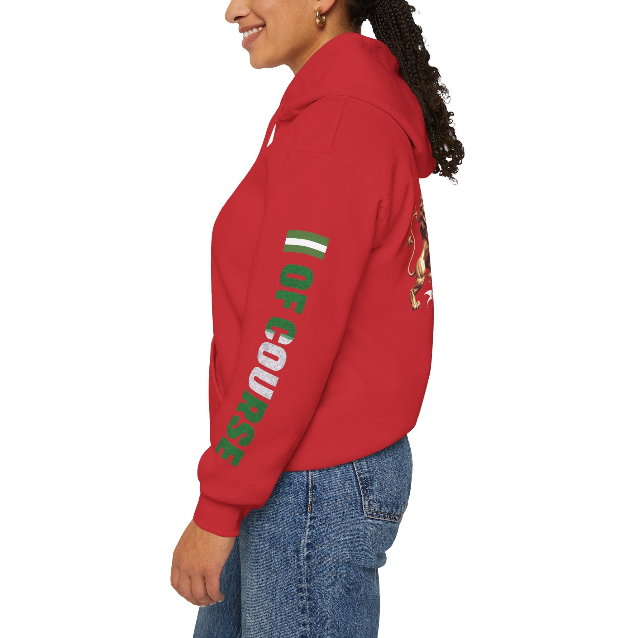 Nigeria Of Course- Naija Keep Calm & Hustle Hoodie