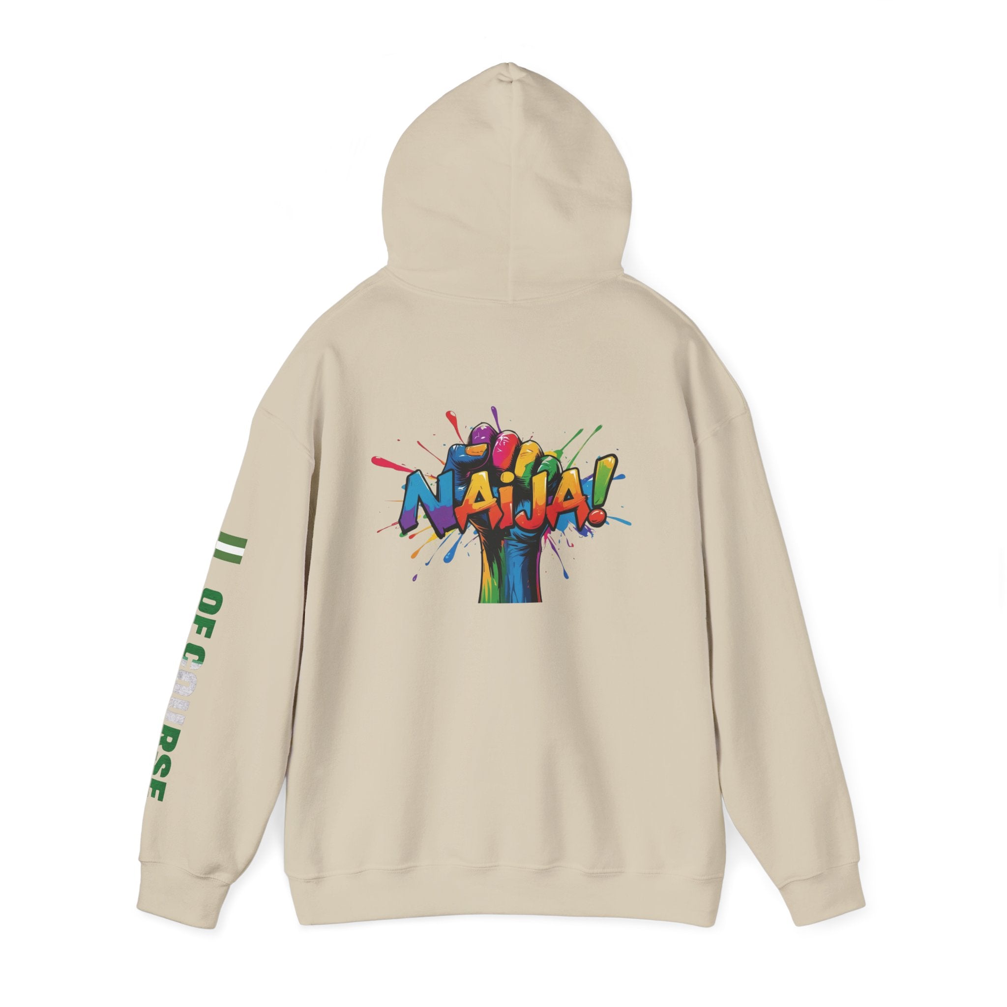 Nigeria Of Course  Power, Hoodie
