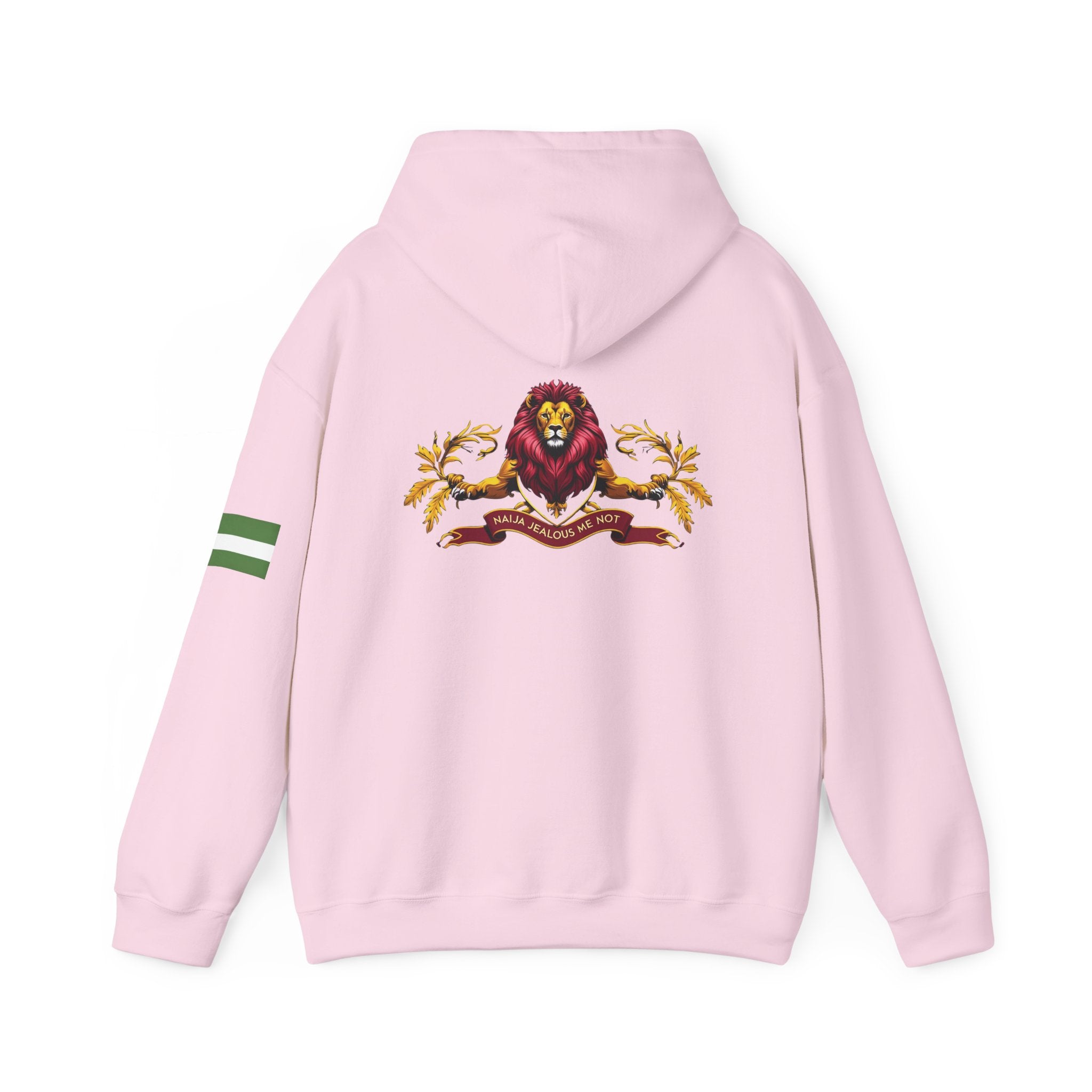 Naija- Jealous Me Not Hoodie